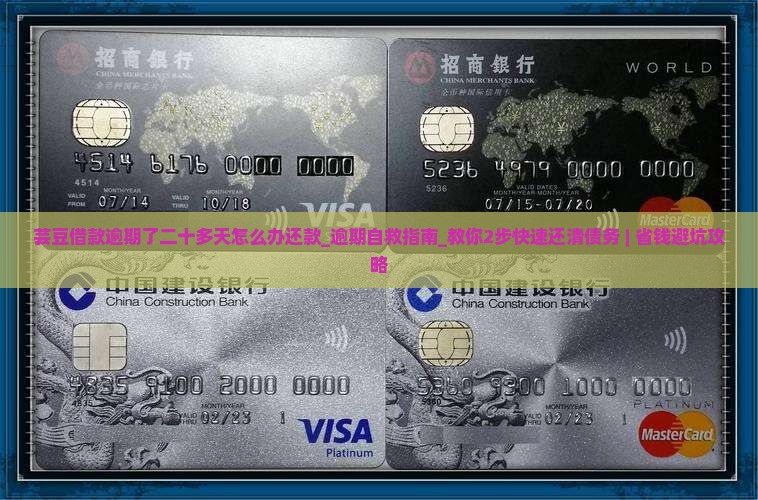 芸豆借款逾期了二十多天怎么办还款