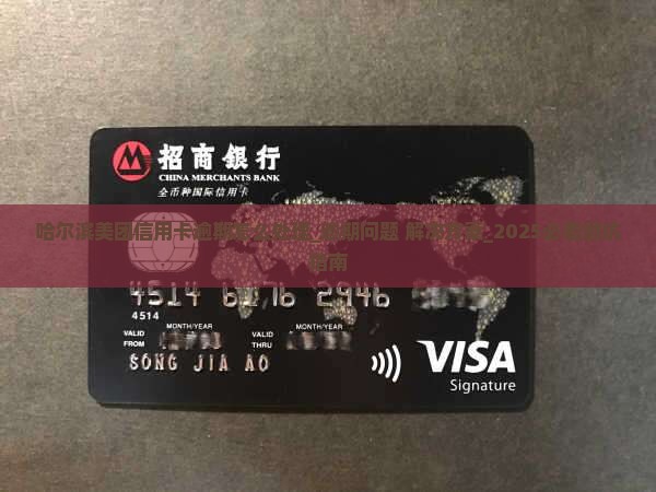 哈尔滨美团信用卡逾期怎么处理如何有效解决