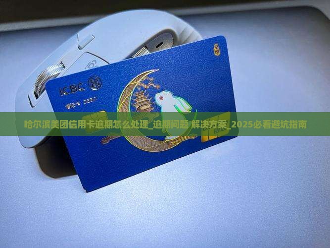 哈尔滨美团信用卡逾期怎么处理如何有效解决
