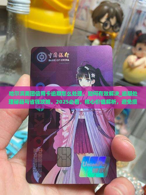 哈尔滨美团信用卡逾期怎么处理如何有效解决