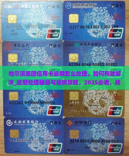 哈尔滨美团信用卡逾期怎么处理如何有效解决