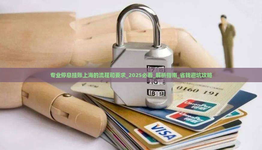 专业停息挂账上海的流程和要求是什么