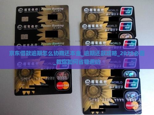 京东借款逾期怎么协商还本金