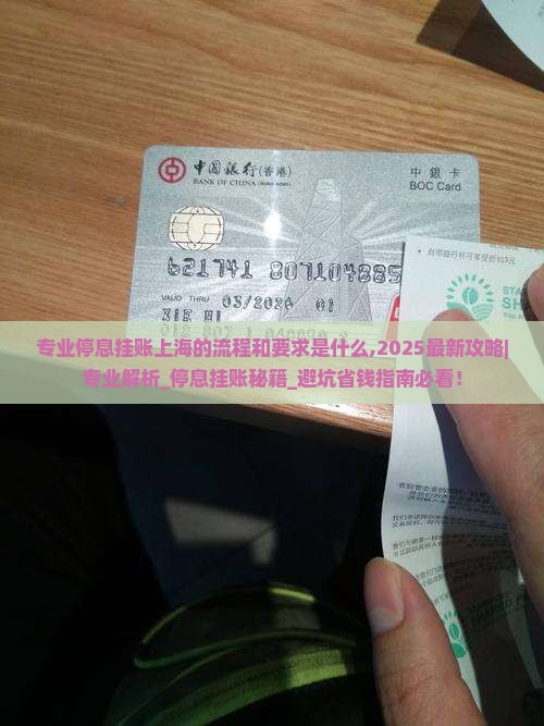 专业停息挂账上海的流程和要求是什么