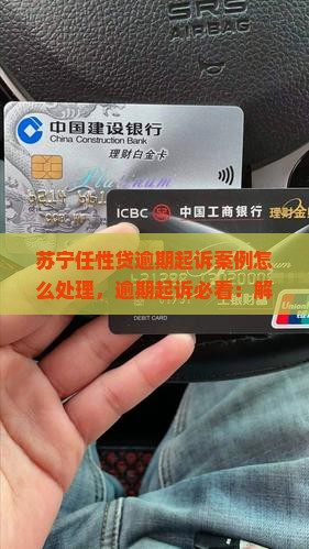 苏宁任性贷逾期起诉案例怎么处理