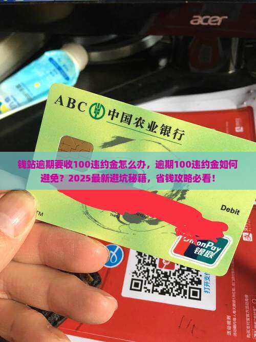 钱站逾期要收100违约金怎么办