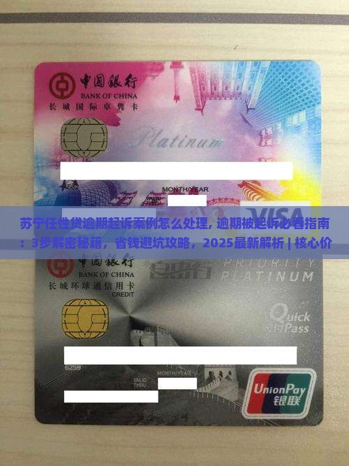 苏宁任性贷逾期起诉案例怎么处理