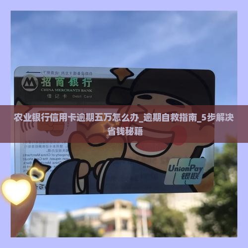 农业银行信用卡逾期五万怎么办