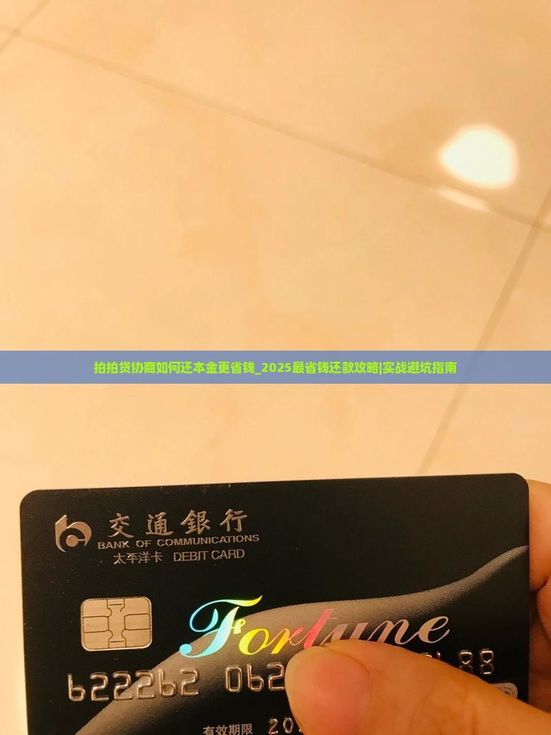 拍拍贷协商如何还本金更省钱