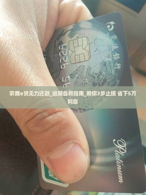 农商e贷无力还款