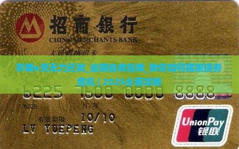 农商e贷无力还款