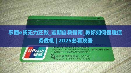 农商e贷无力还款