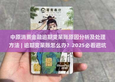 中原消费金融逾期变呆账原因分析及处理方法