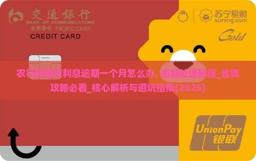 农行网捷贷利息逾期一个月怎么办