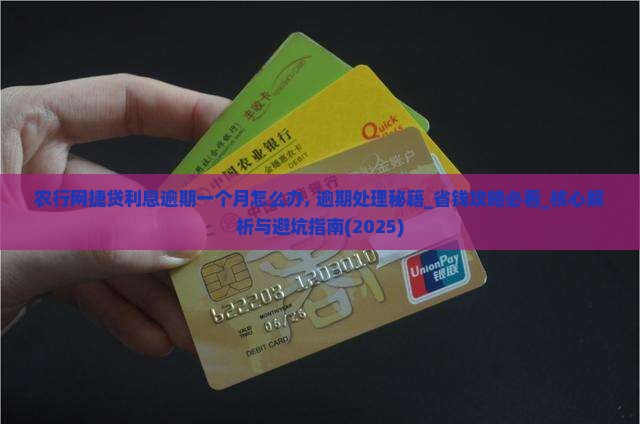农行网捷贷利息逾期一个月怎么办