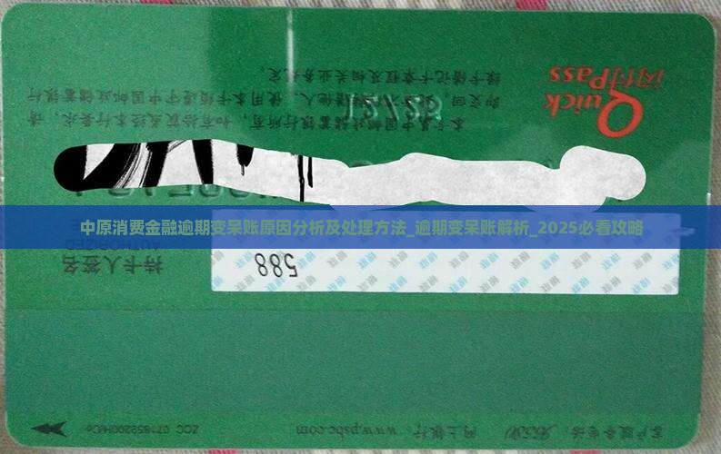 中原消费金融逾期变呆账原因分析及处理方法