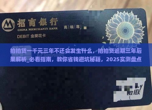 拍拍贷一千元三年不还会发生什么