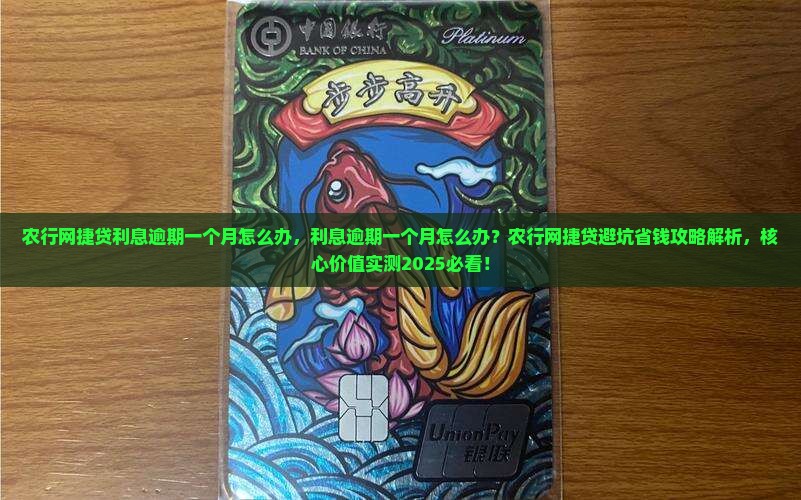 农行网捷贷利息逾期一个月怎么办