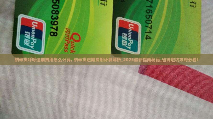 纳米贷呼呼逾期费用怎么计算
