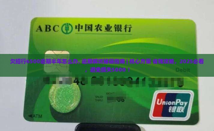 欠招行6500逾期半年怎么办