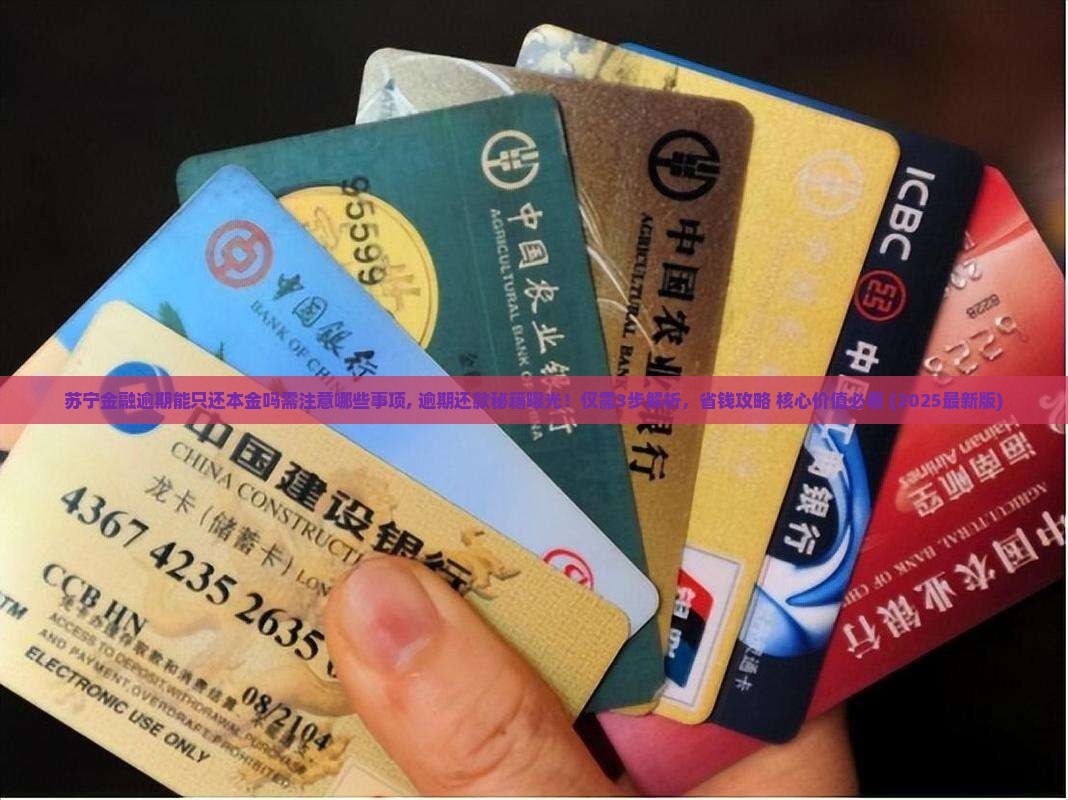 苏宁金融逾期能只还本金吗需注意哪些事项