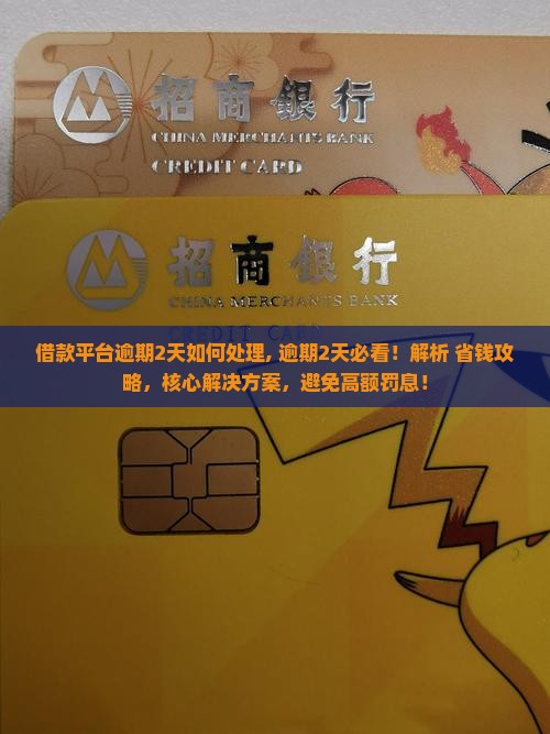 借款平台逾期2天如何处理
