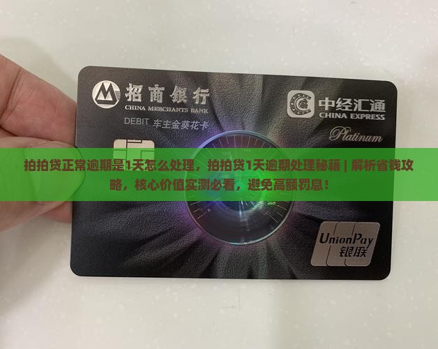 拍拍贷正常逾期是1天怎么处理