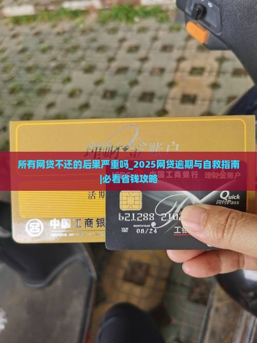 所有网贷不还的后果严重吗