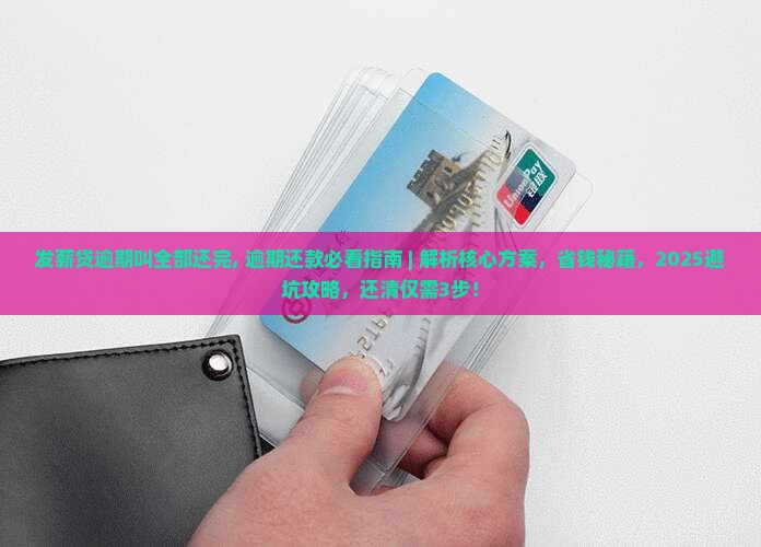 发薪贷逾期叫全部还完