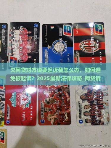 欠网贷对方说要起诉我怎么办