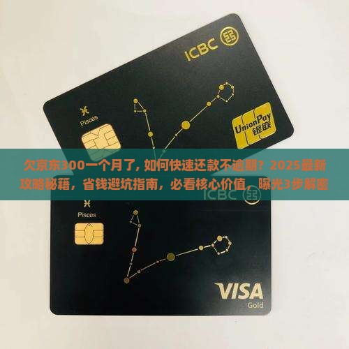 欠京东白条300一个月了