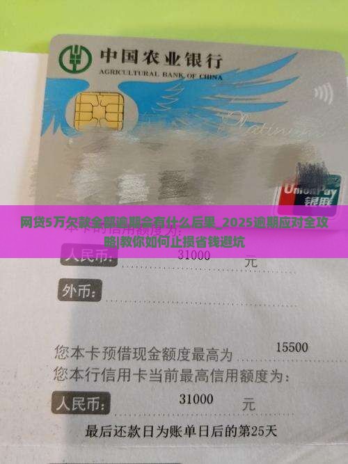 网贷5万欠款全部逾期会有什么后果