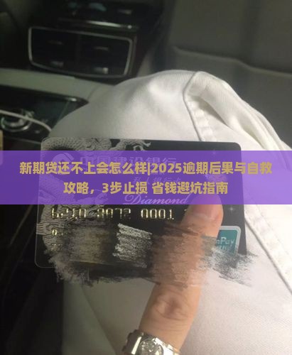 新期贷还不上会怎么样的后果与解决办法