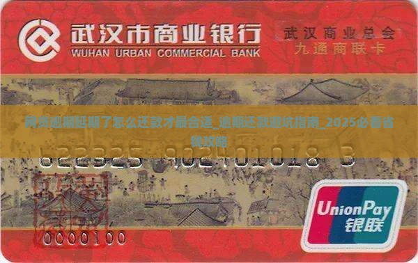 网贷逾期延期了怎么还款才最合适