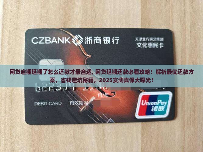 网贷逾期延期了怎么还款才最合适