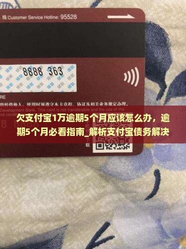 欠支付宝1万逾期5个月应该怎么办
