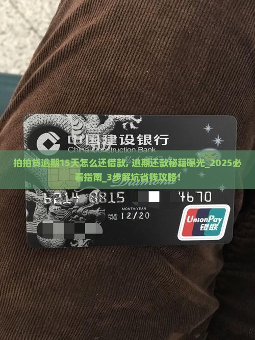 拍拍贷逾期15天怎么还借款