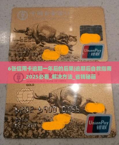 6张信用卡逾期一年后的后果及解决方法
