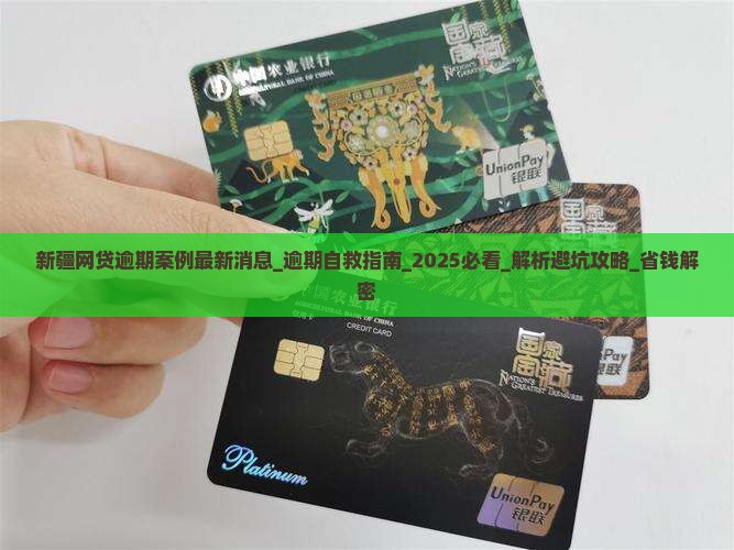 新疆网贷逾期案例最新消息