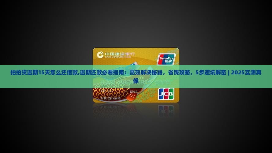 拍拍贷逾期15天怎么还借款