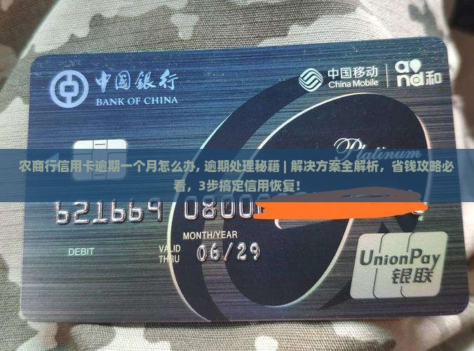 农商行信用卡逾期一个月怎么办处理方式