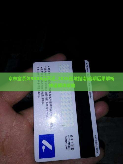 京东金条欠9000元不还及相关问题解答