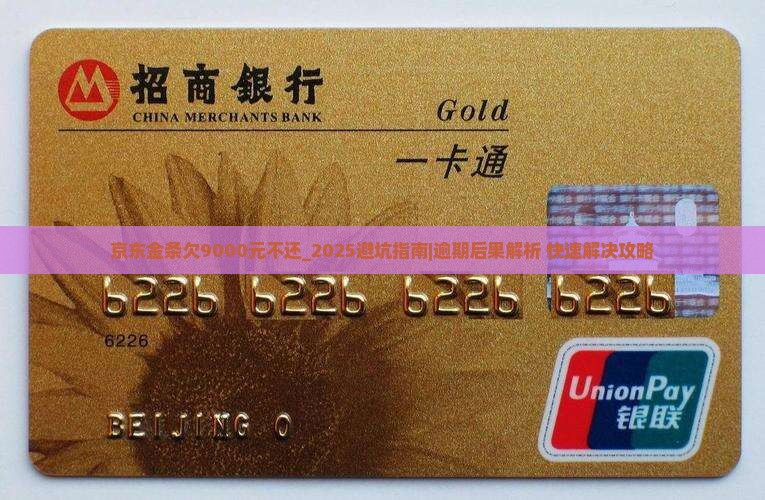 京东金条欠9000元不还及相关问题解答