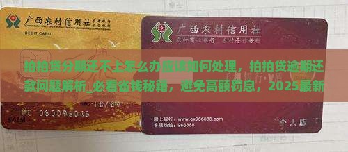 拍拍贷分期还不上怎么办应该如何处理