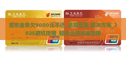 京东金条欠9000元不还及相关问题解答