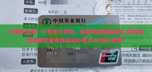 分期乐逾期一个月多少罚款