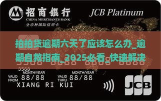 拍拍贷逾期六天了应该怎么办