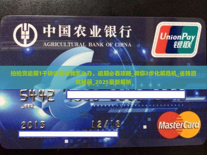 拍拍贷逾期1千块说起诉我怎么办