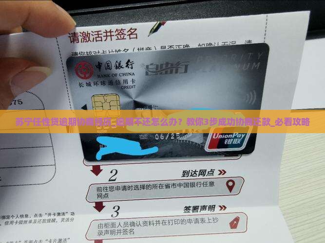 苏宁任性贷逾期协商经历