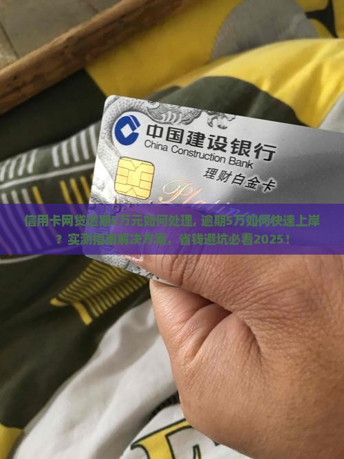 信用卡网贷逾期5万元如何处理